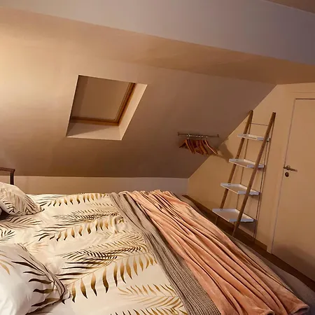 Skynest Namur
