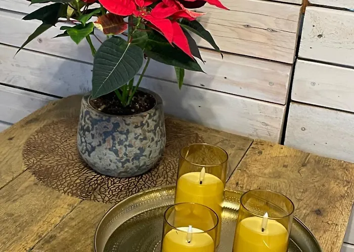 Pensión Skynest Namur